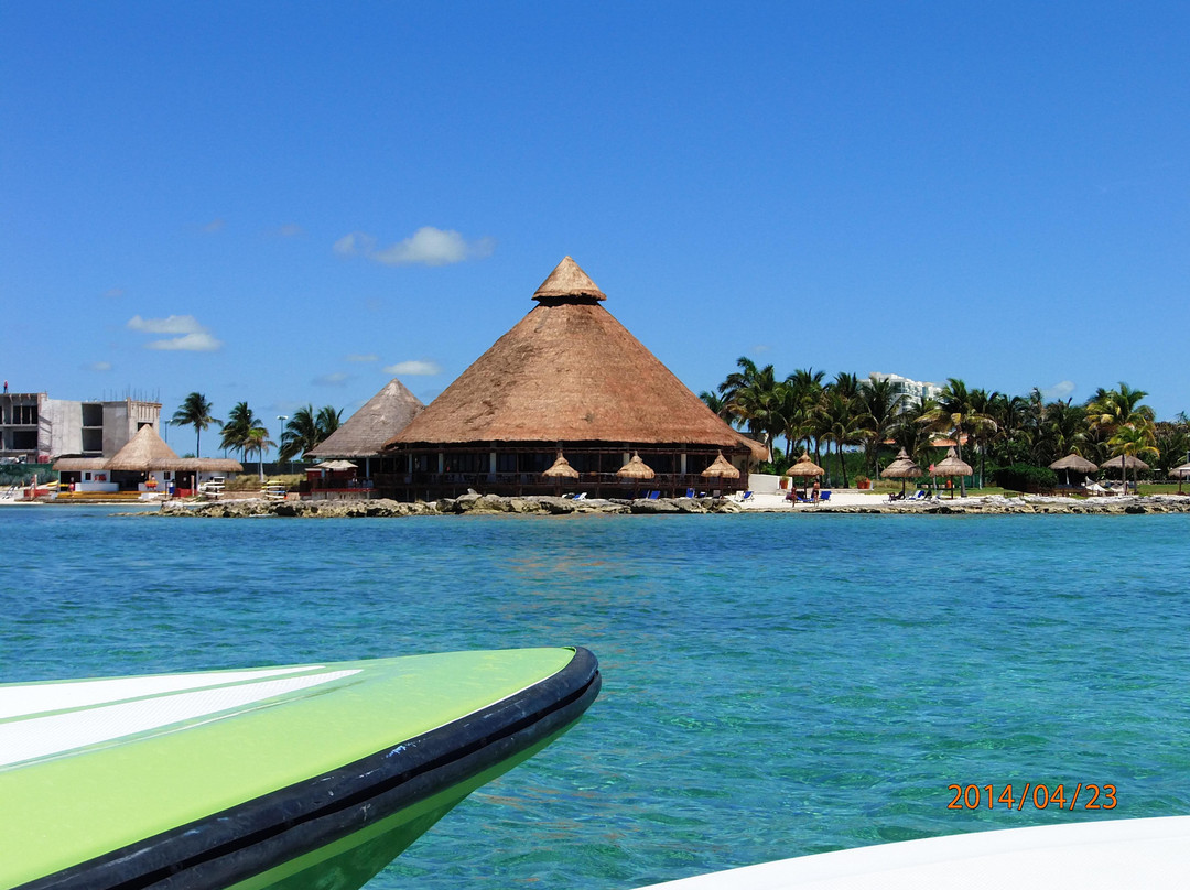 海豚发现秀-坎昆必去景点