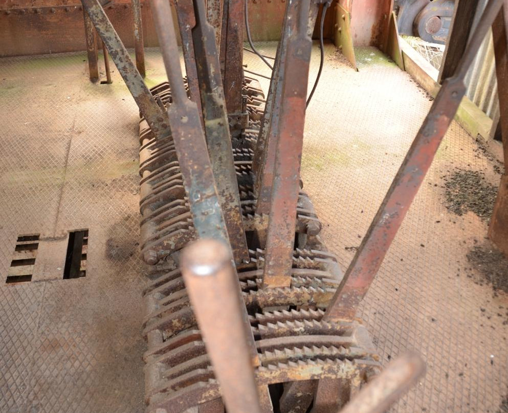 Reedy Creek-Eldorado必去景点