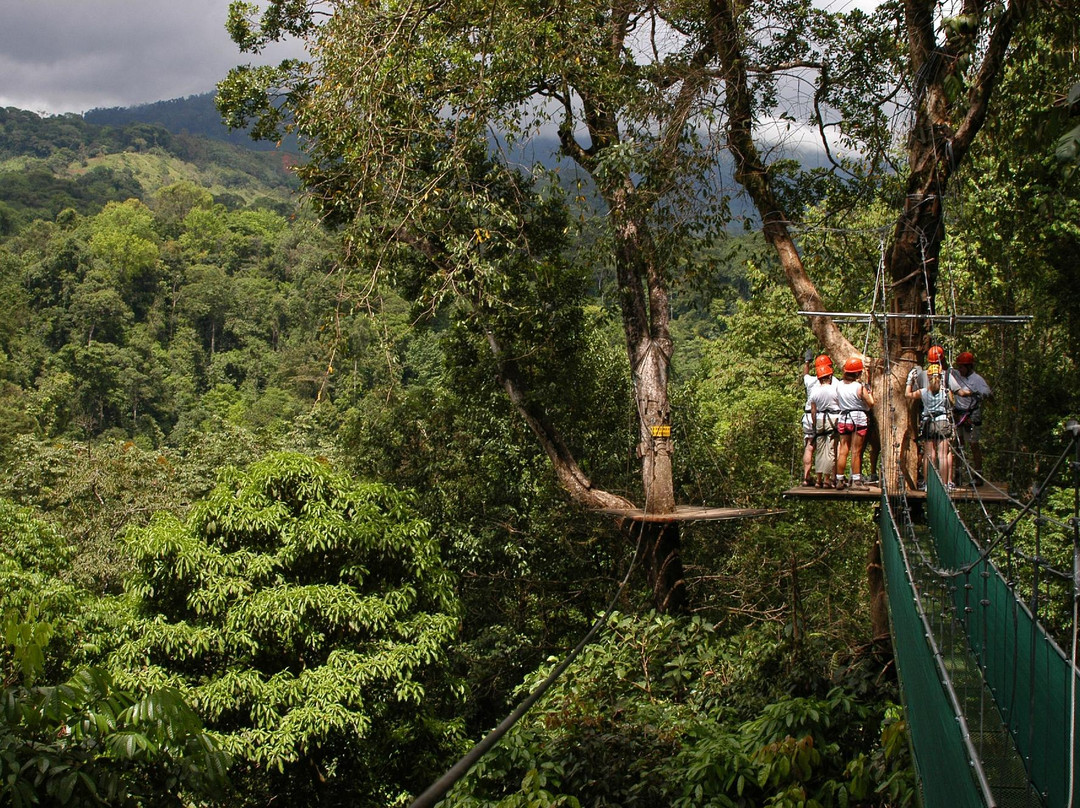 Canopy Safari景点图片