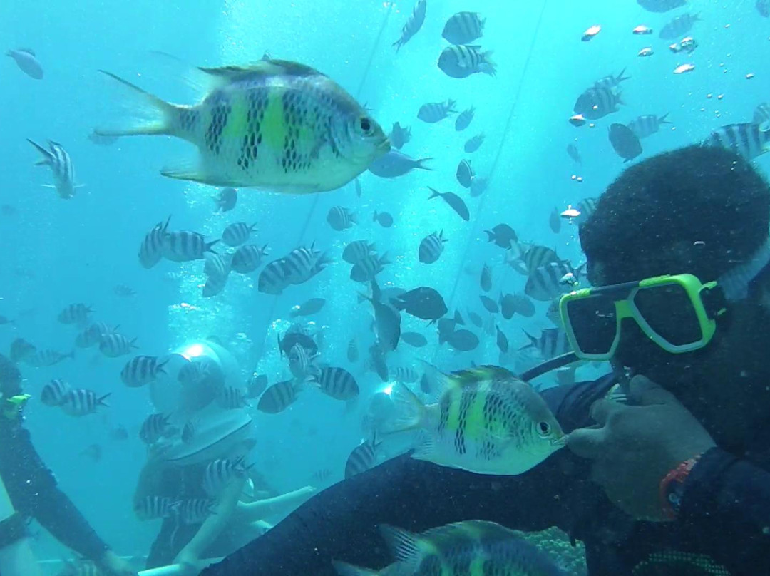 Seawalker Tours-Piti必去景点