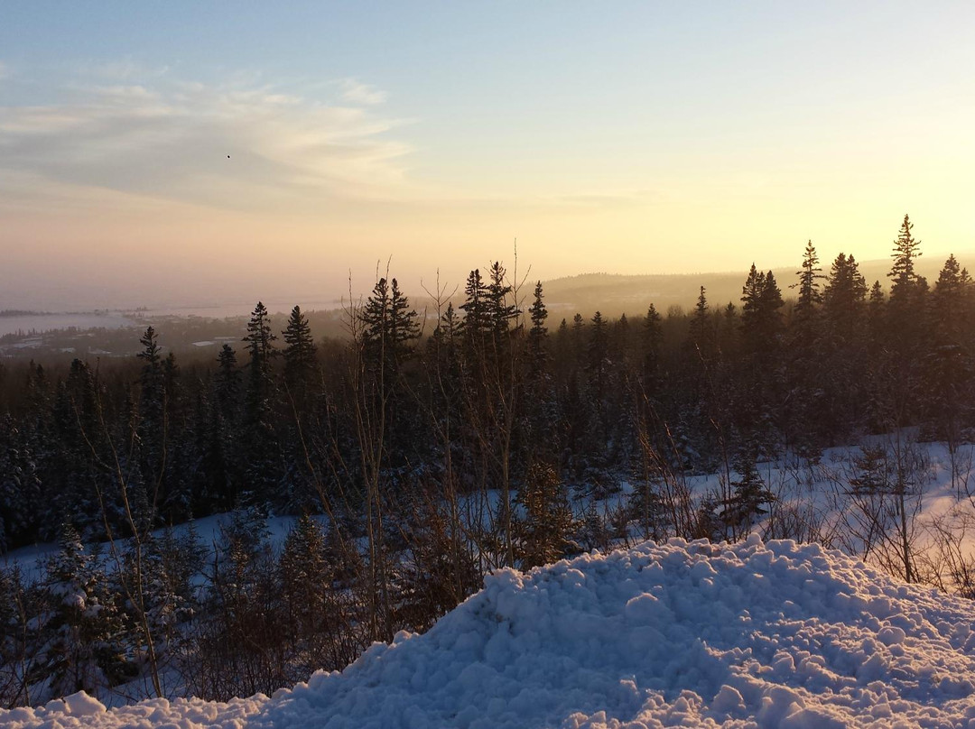 Pincushion Mountain Trail System-大马雷必去景点