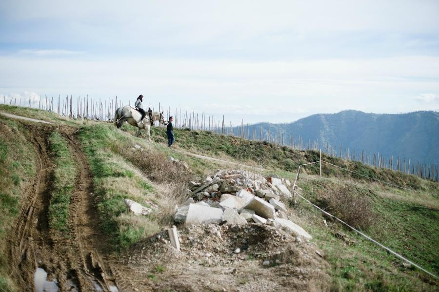 Rhone Wine Tours-尼永必去景点