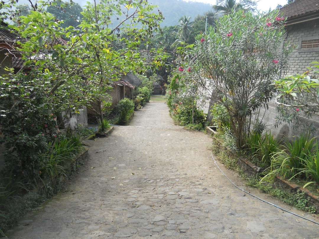 Tenganan Ancient Village景点图片