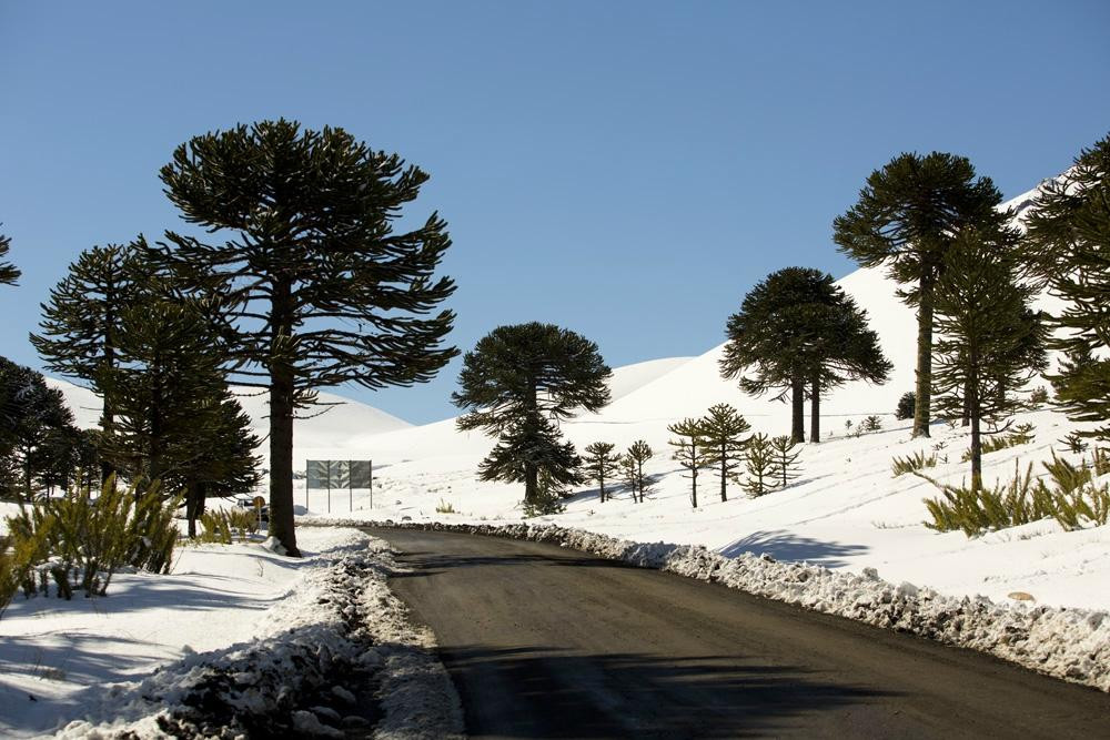 Lonquimay酒店住宿-Valle Corralco Hotel & Spa