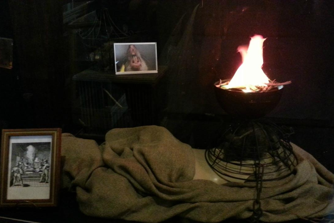 Curiosity Museum-奥尔顿塔必去景点