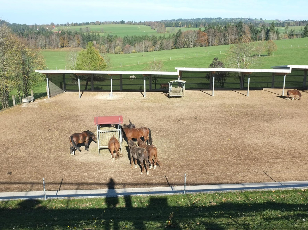 Fondation pour le cheval Le Roselet-Les Breuleux必去景点