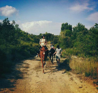 Cavalls de Trulls-Viver必去景点