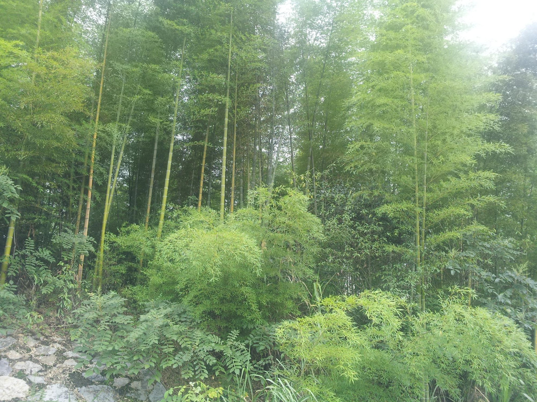 龙佑温泉度假酒店主图