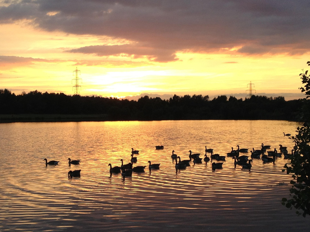 Rother Valley Country Park-Wales必去景点