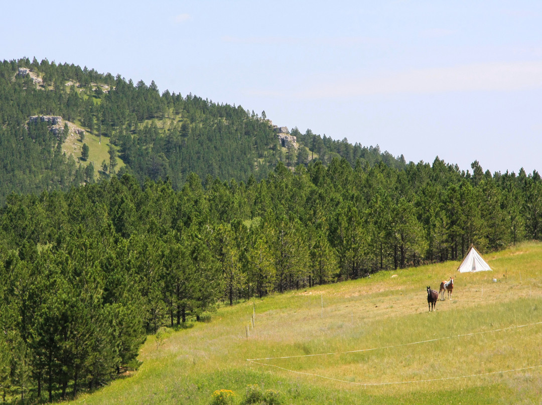 Tatanka: Story of the Bison景点图片