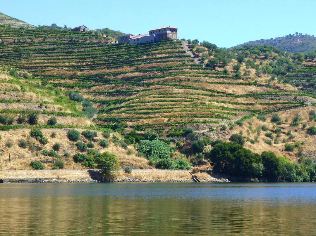 Quinta do Vale Dona Maria景点图片