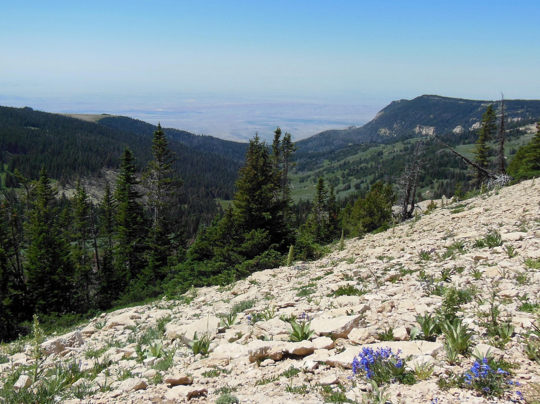 Bighorn National Forest-谢里登必去景点