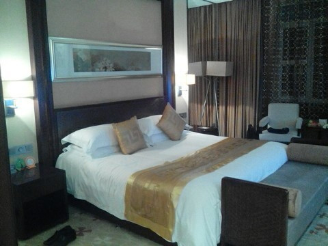 阿尔卡迪亚国际温泉酒店主图