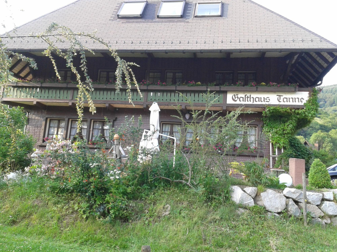 Gasthaus & Pension Tanne主图