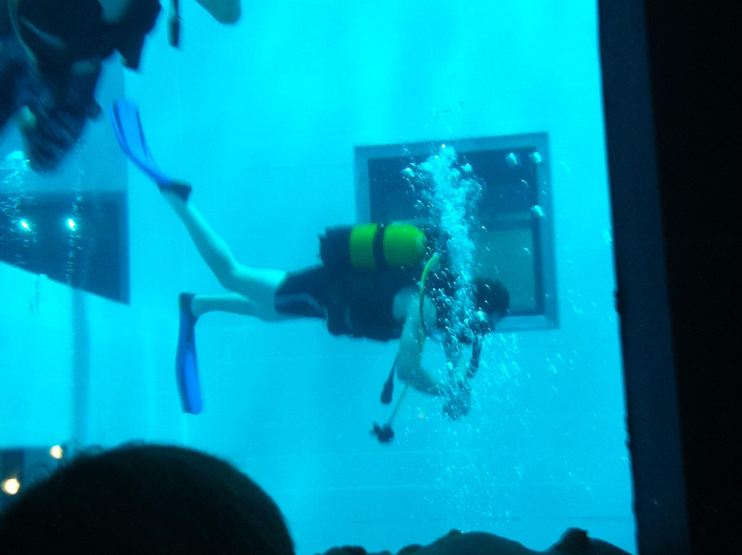 Nemo 33景点图片