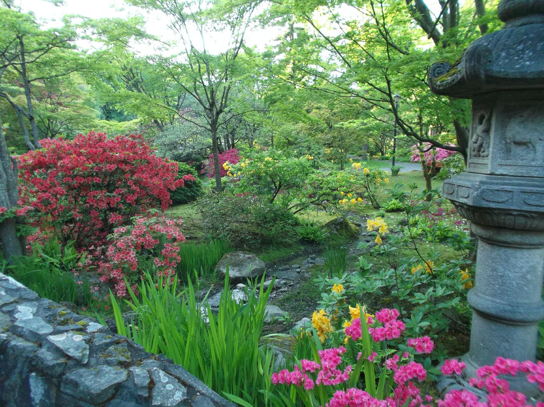 日本茶园景点图片
