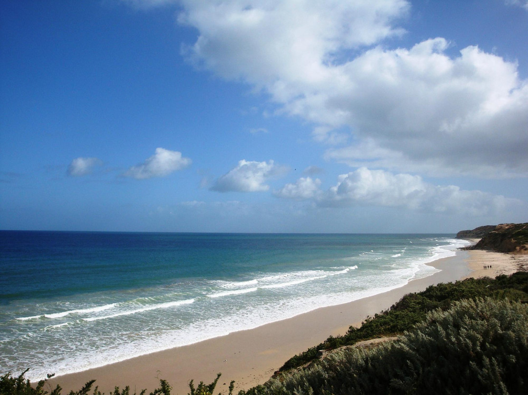 Aldinga Beach景点图片