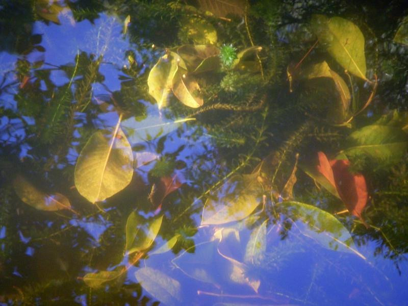 Blake Garden-Kensington必去景点