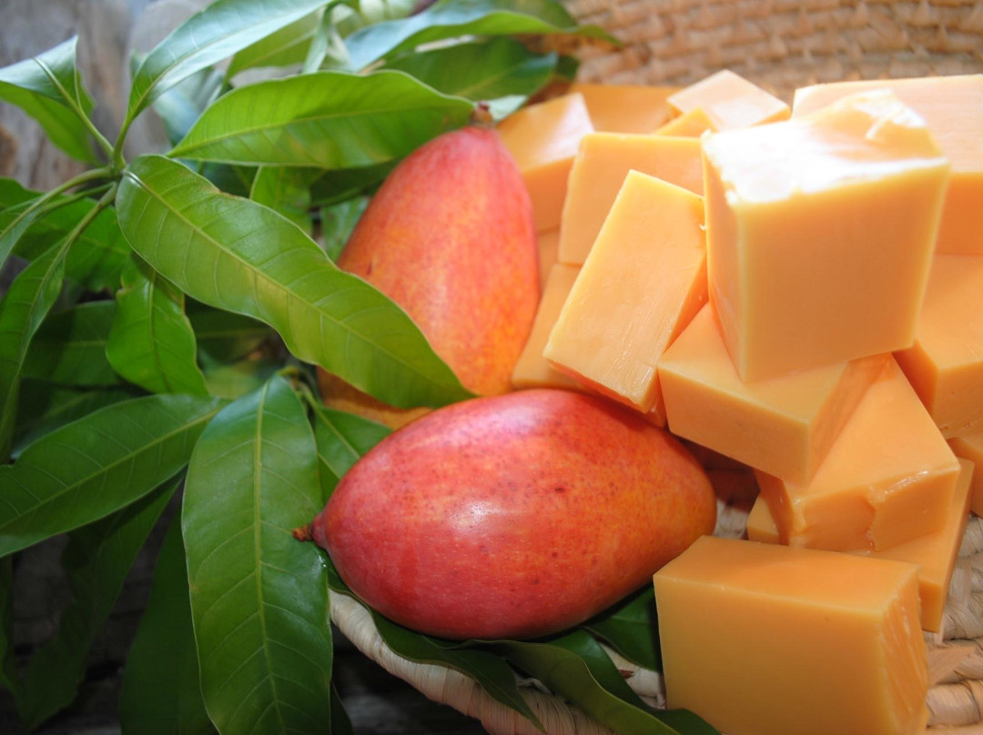 Beach Bubbles Cayman-大开曼岛必去景点