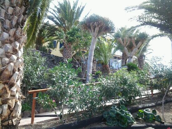 Hacienda de Anzo-客卧