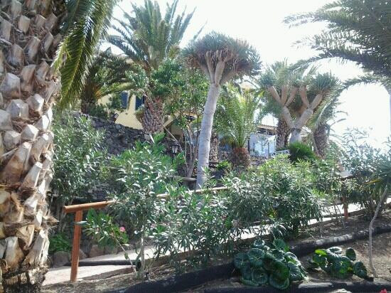 Hacienda de Anzo主图