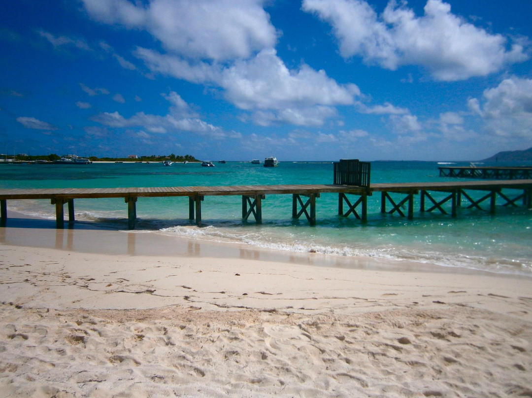 Dolphin Discovery Anguilla-Blowing Point必去景点