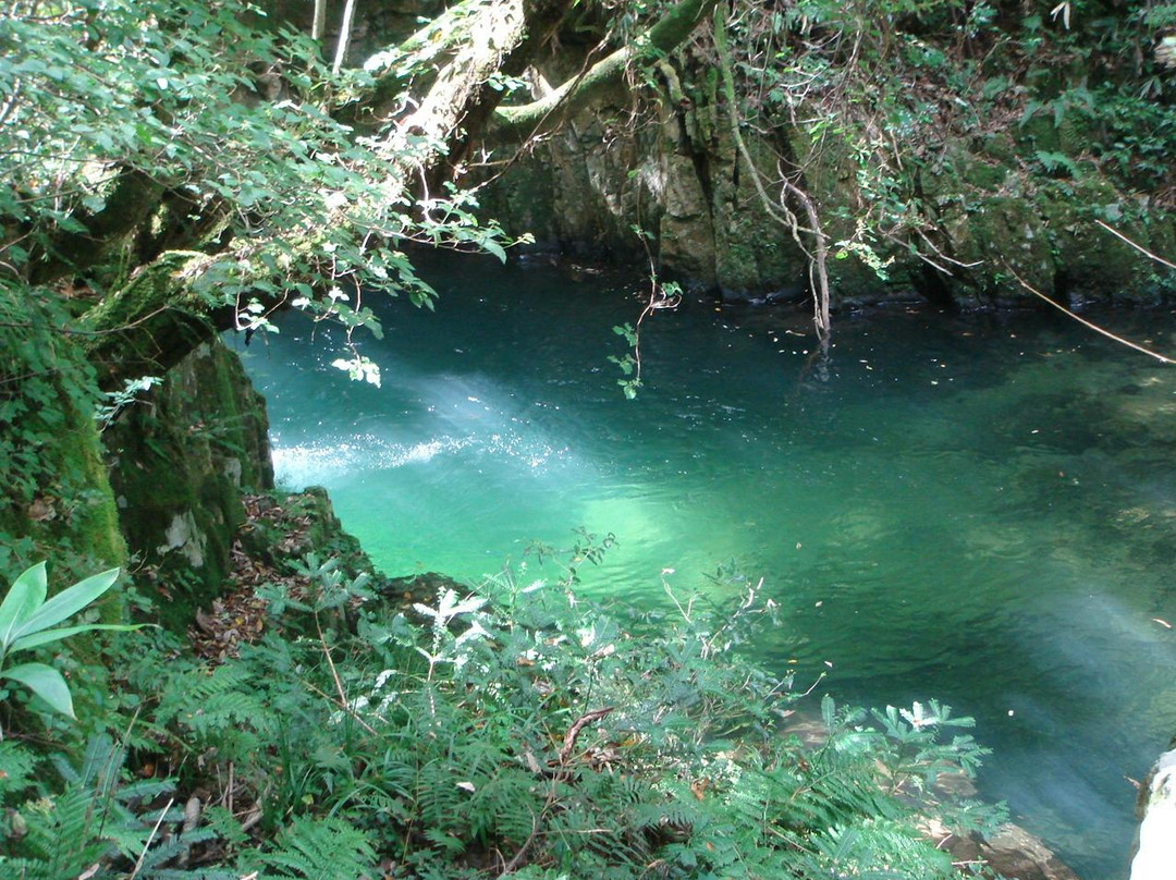 Yaedaki Falls-云南市必去景点