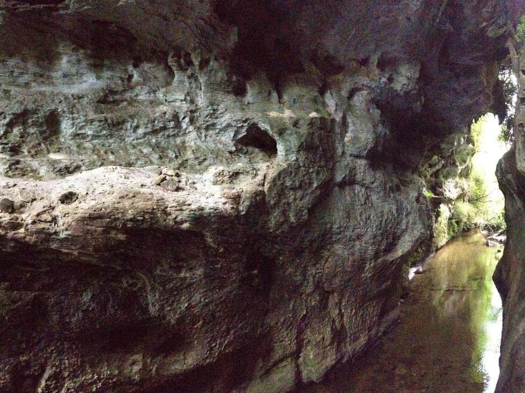 Mangapohue Natural Bridge Walk-怀托摩洞穴必去景点
