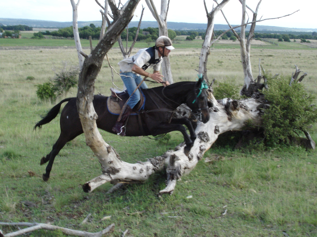 Horseback Africa-比勒陀利亚必去景点