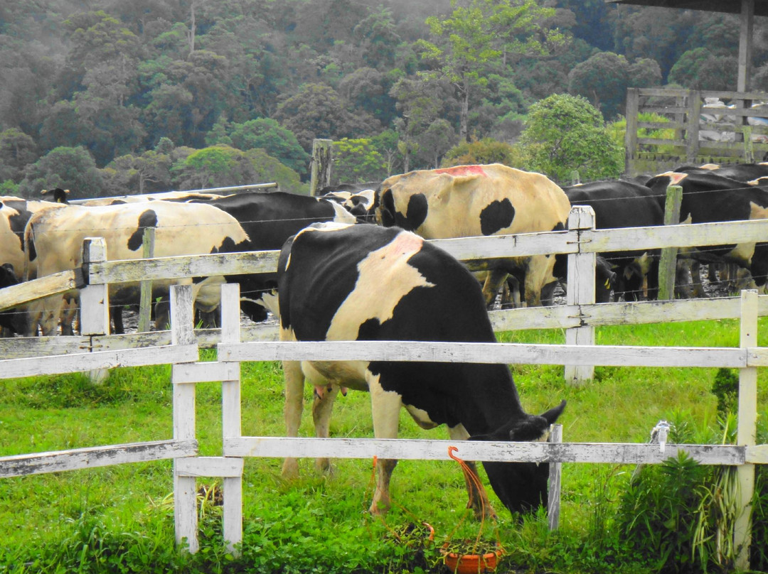 牛场-昆达山必去景点