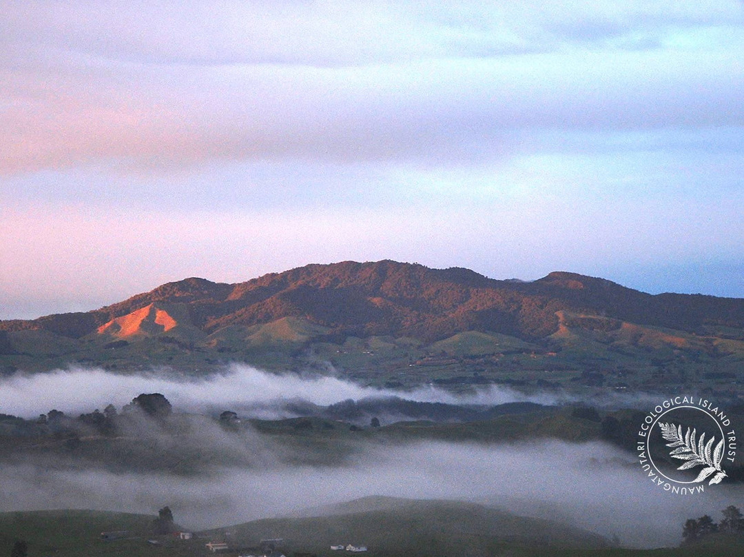 Sanctuary Mountain Maungatautari景点图片