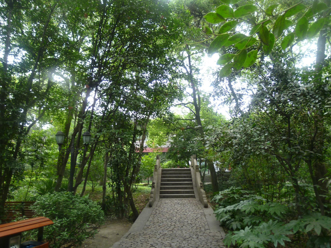 汇龙潭公园-上海市必去景点