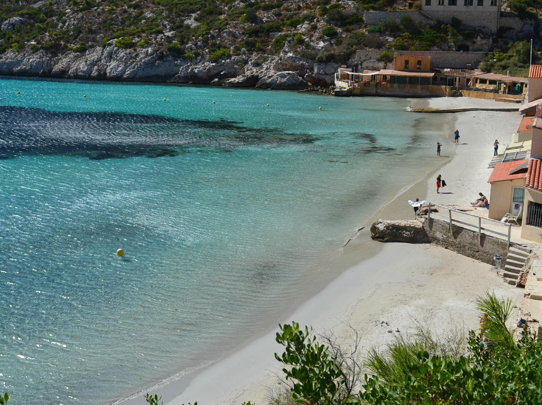 La Provence de Claire Tours-阿维尼翁必去景点