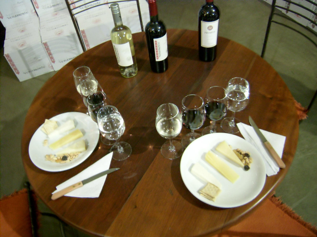 Viñedos Veramonte-卡萨布兰卡必去景点