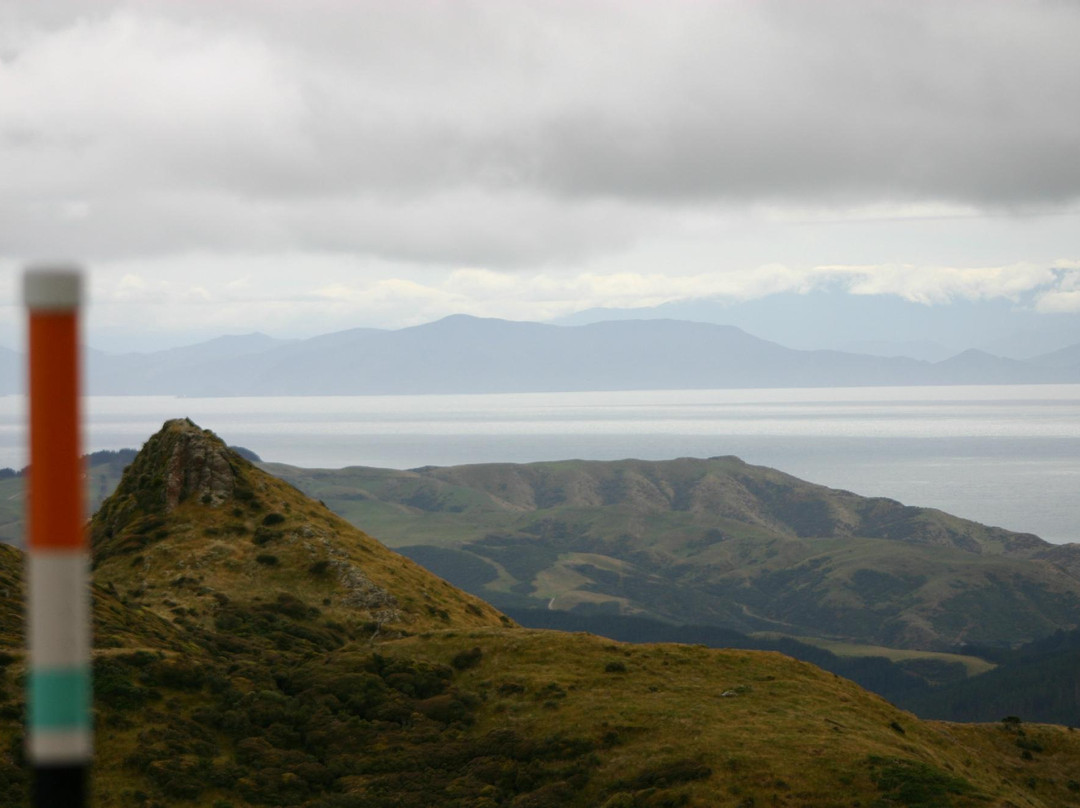 Mount Kaukau景点图片