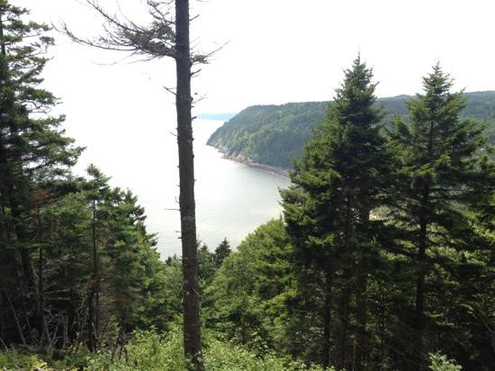 Fundy Trail Provincial Park-St. Martins必去景点