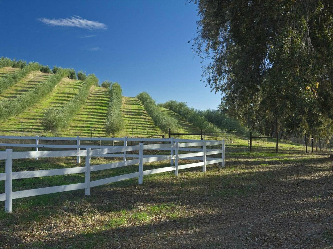 Pasolivo Ranch and Tasting Room景点图片
