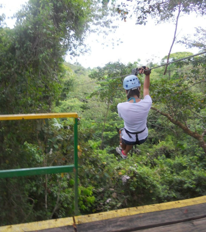 Corcovado Canopy Tour景点图片
