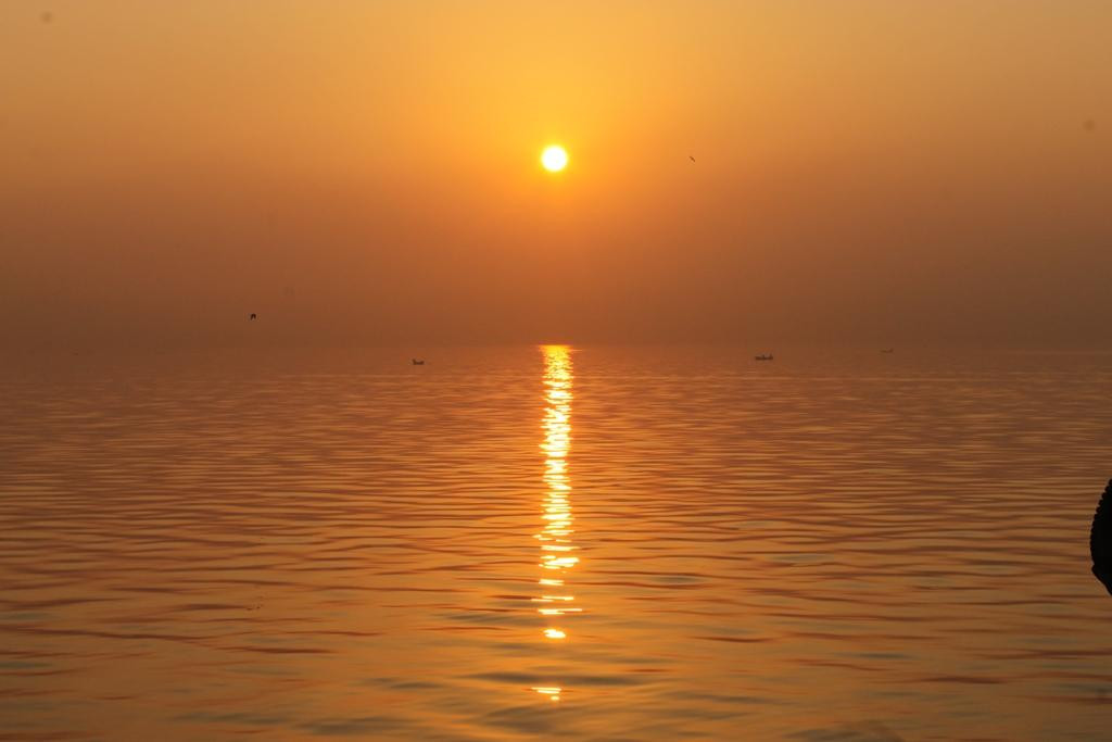 Sewri Jetty-孟买必去景点