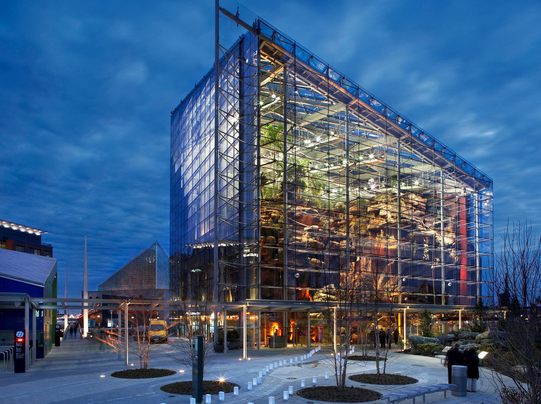 巴尔的摩国家水族馆-巴尔的摩必去景点