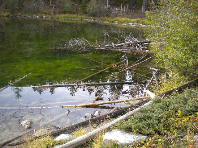 Wild Bill Lake-雷德洛治必去景点