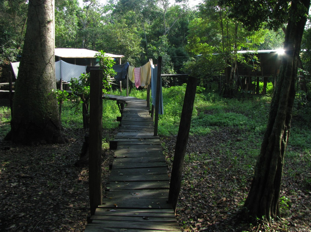 Fluvial Tours-Rurrenabaque必去景点