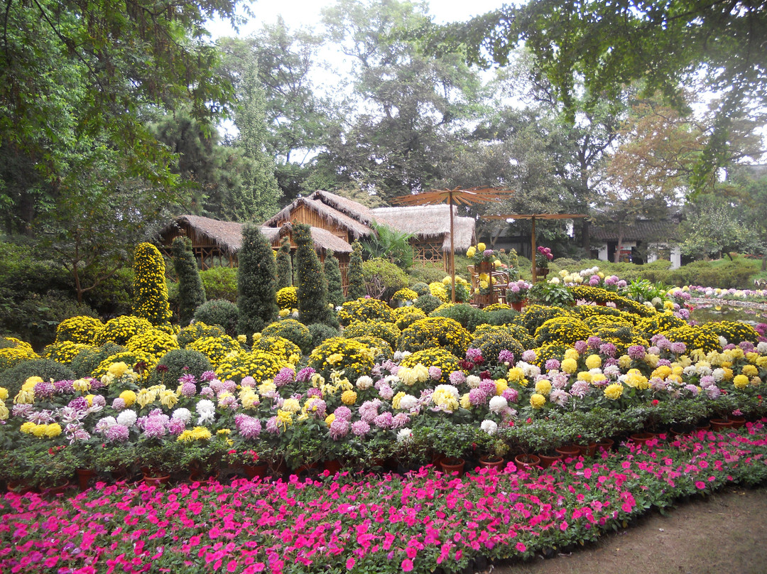 拙政园-苏州市必去景点