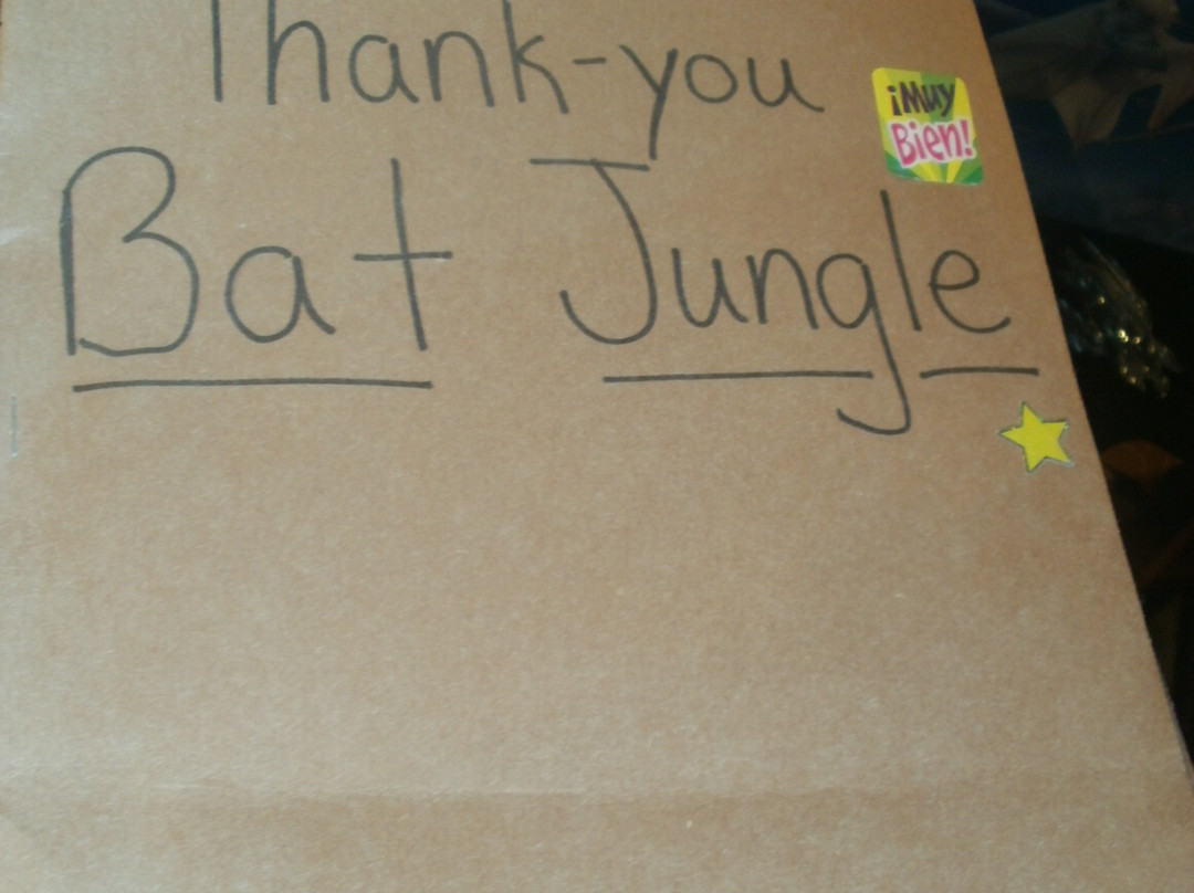 The Bat Jungle景点图片