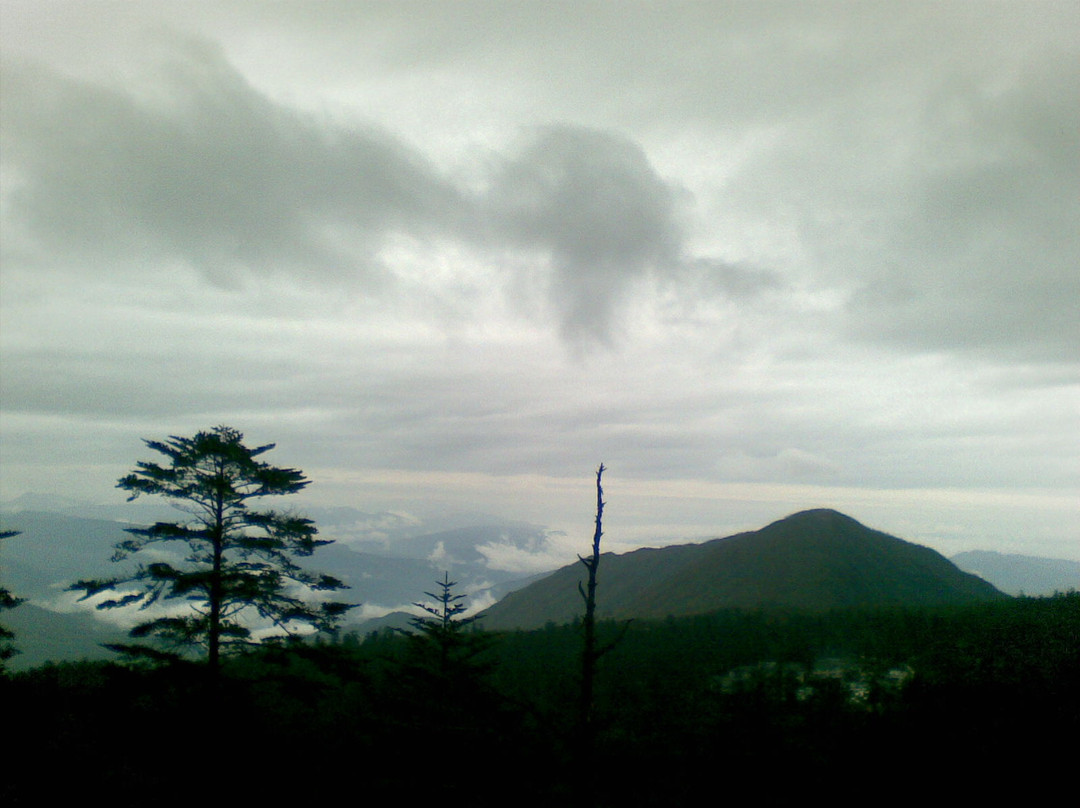 峨眉山自然生态猴区-峨眉山市必去景点