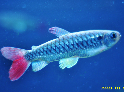 南京海底世界-南京市必去景点