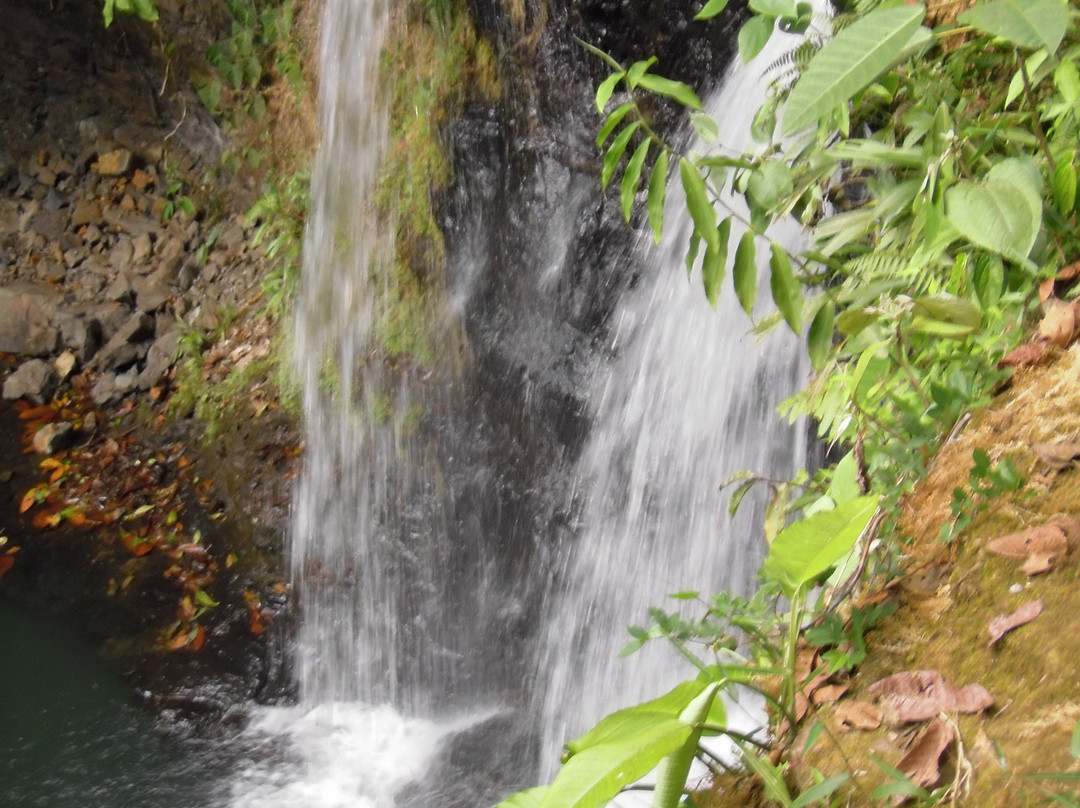 Pacific Journeys-San Isidro del General必去景点