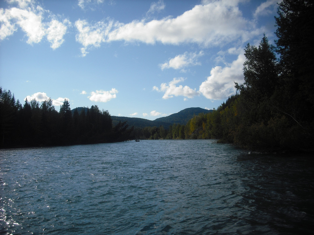 Kenai River Float-n-Fish-Cooper Landing必去景点