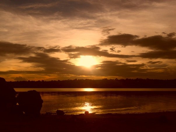 Mabamba Swamp Shoebill Watching Entebbe-恩德培必去景点