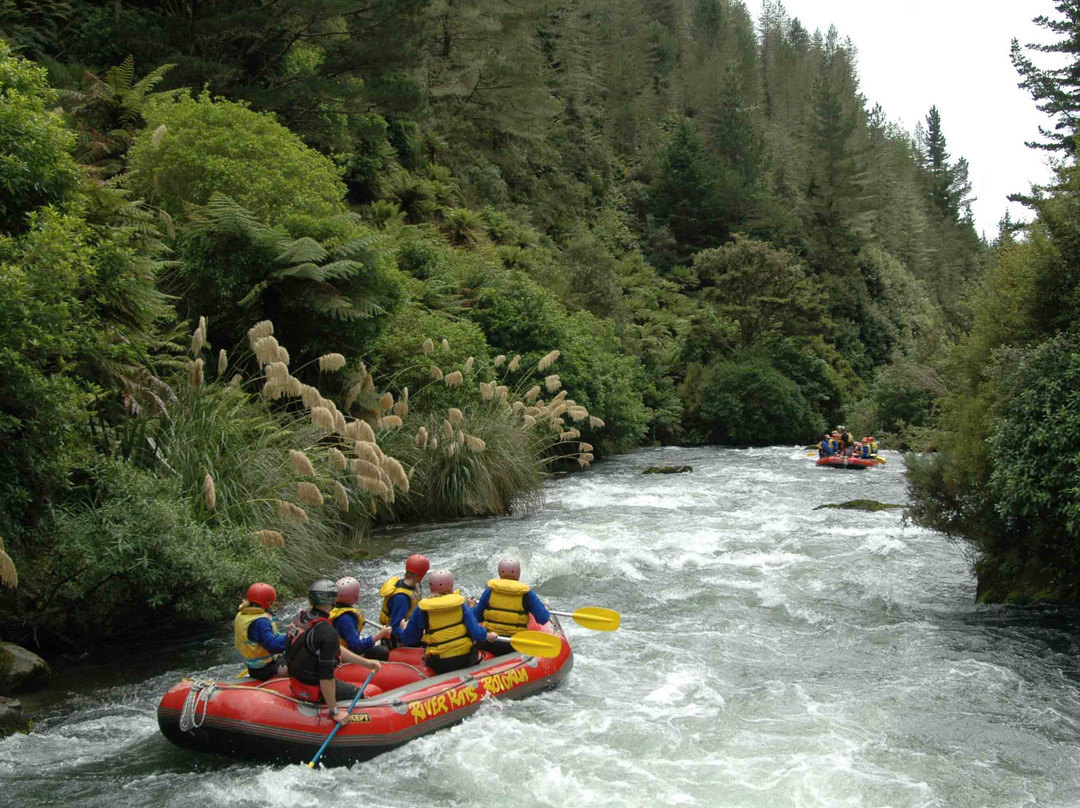 River Rats-罗托鲁瓦必去景点